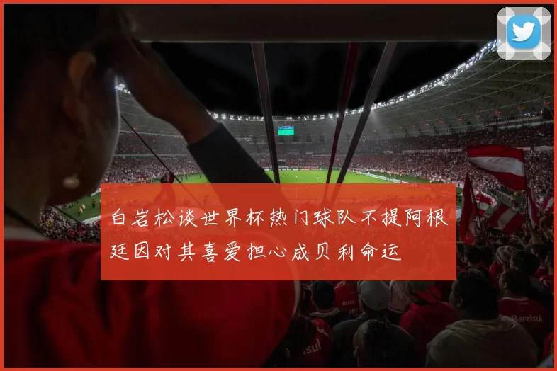 白岩松谈世界杯热门球队不提阿根廷因对其喜爱担心成贝利命运